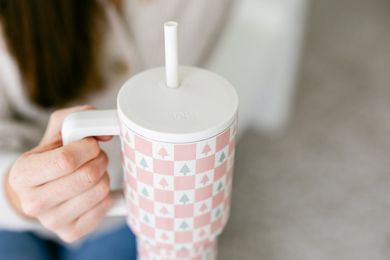Simple Modern 30 fl oz Insulated Stainless Steel Trek Tumbler with Straw Lid | Seaglass Sage and Cream Checkmate C690C