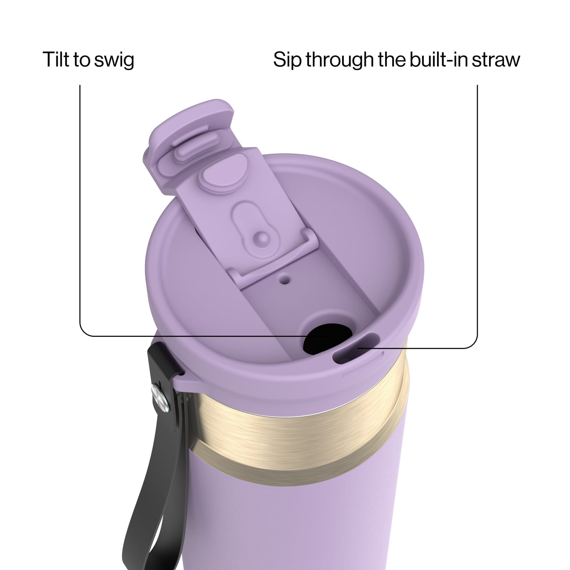 Contigo DualSip 24 oz Leakproof Insulated Water Bottle with Carrying Strap and 2-Way Lid C041V