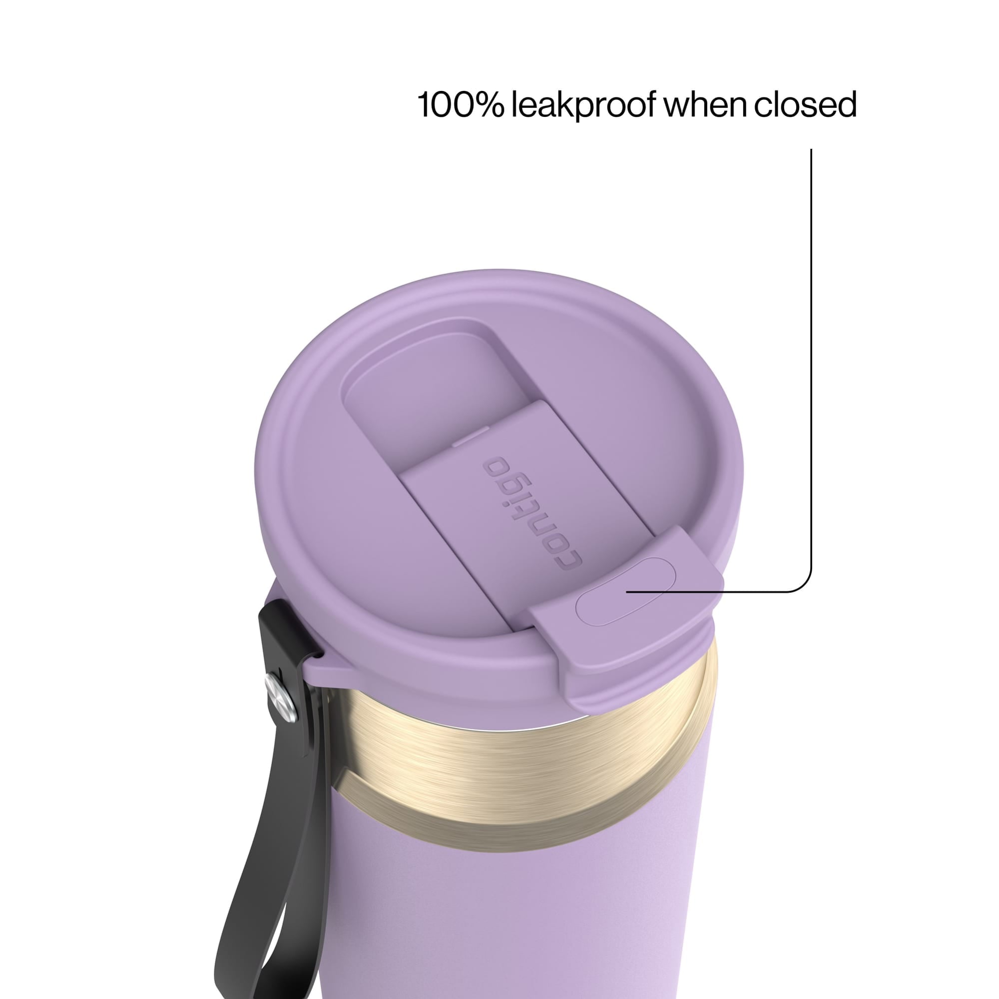 Contigo DualSip 24 oz Leakproof Insulated Water Bottle with Carrying Strap and 2-Way Lid C041V