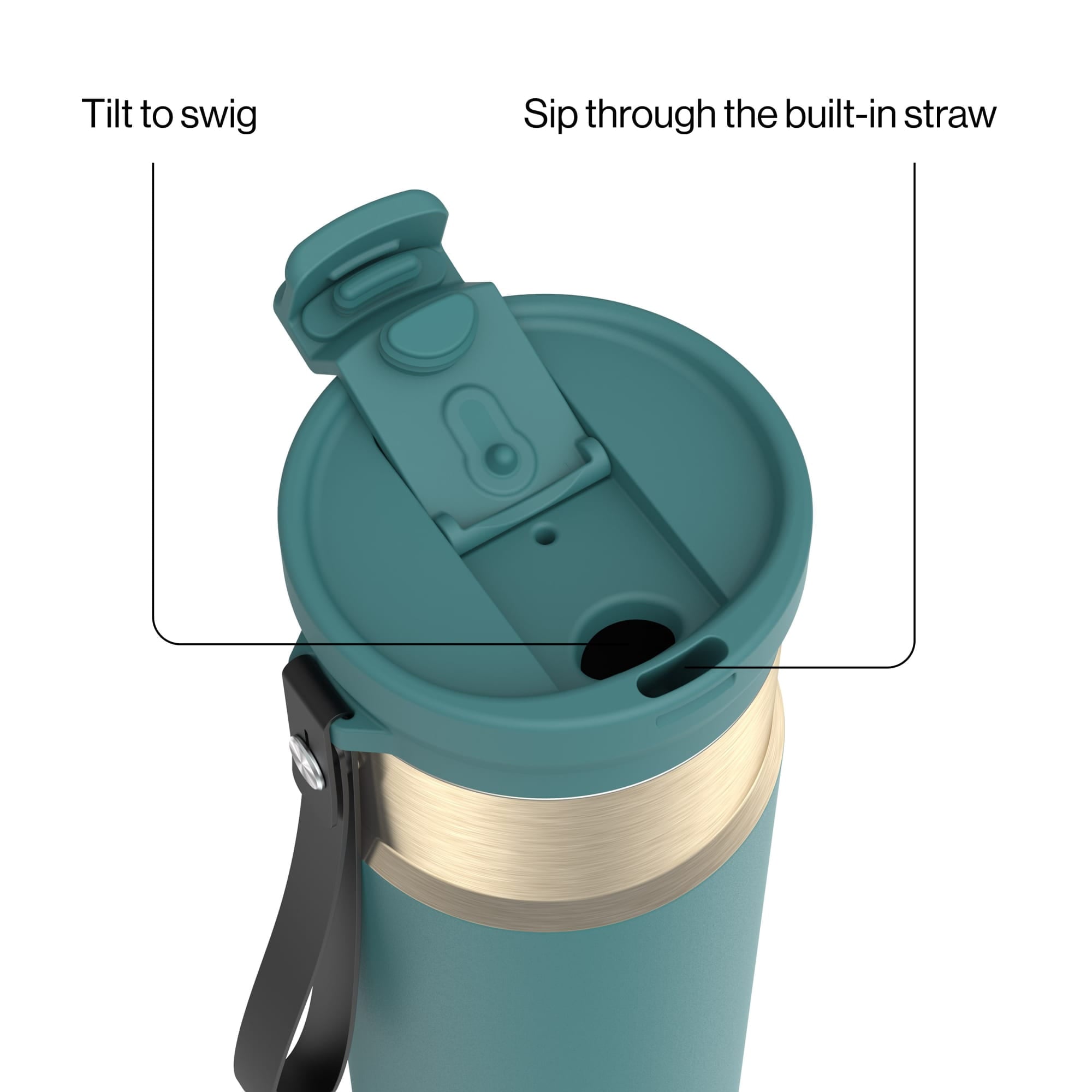 Contigo DualSip 24 oz Leakproof Insulated Water Bottle with Carrying Strap and 2-Way Lid C041V