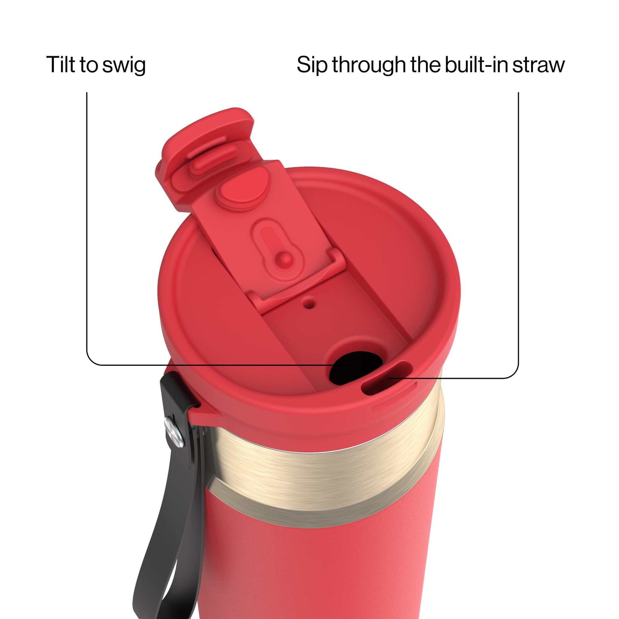 Contigo DualSip 24 oz Leakproof Insulated Water Bottle with Carrying Strap and 2-Way Lid C041V