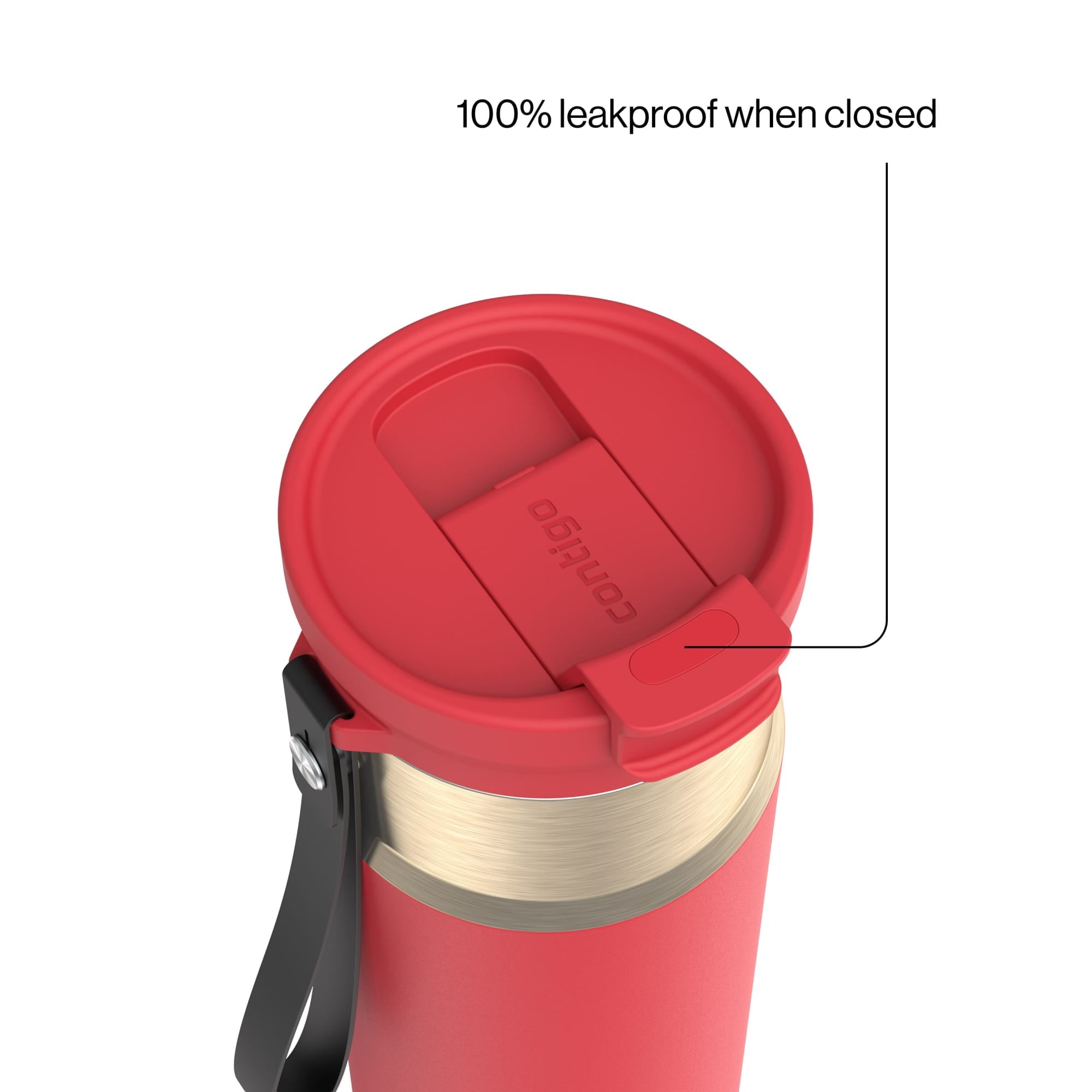 Contigo DualSip 24 oz Leakproof Insulated Water Bottle with Carrying Strap and 2-Way Lid C041V