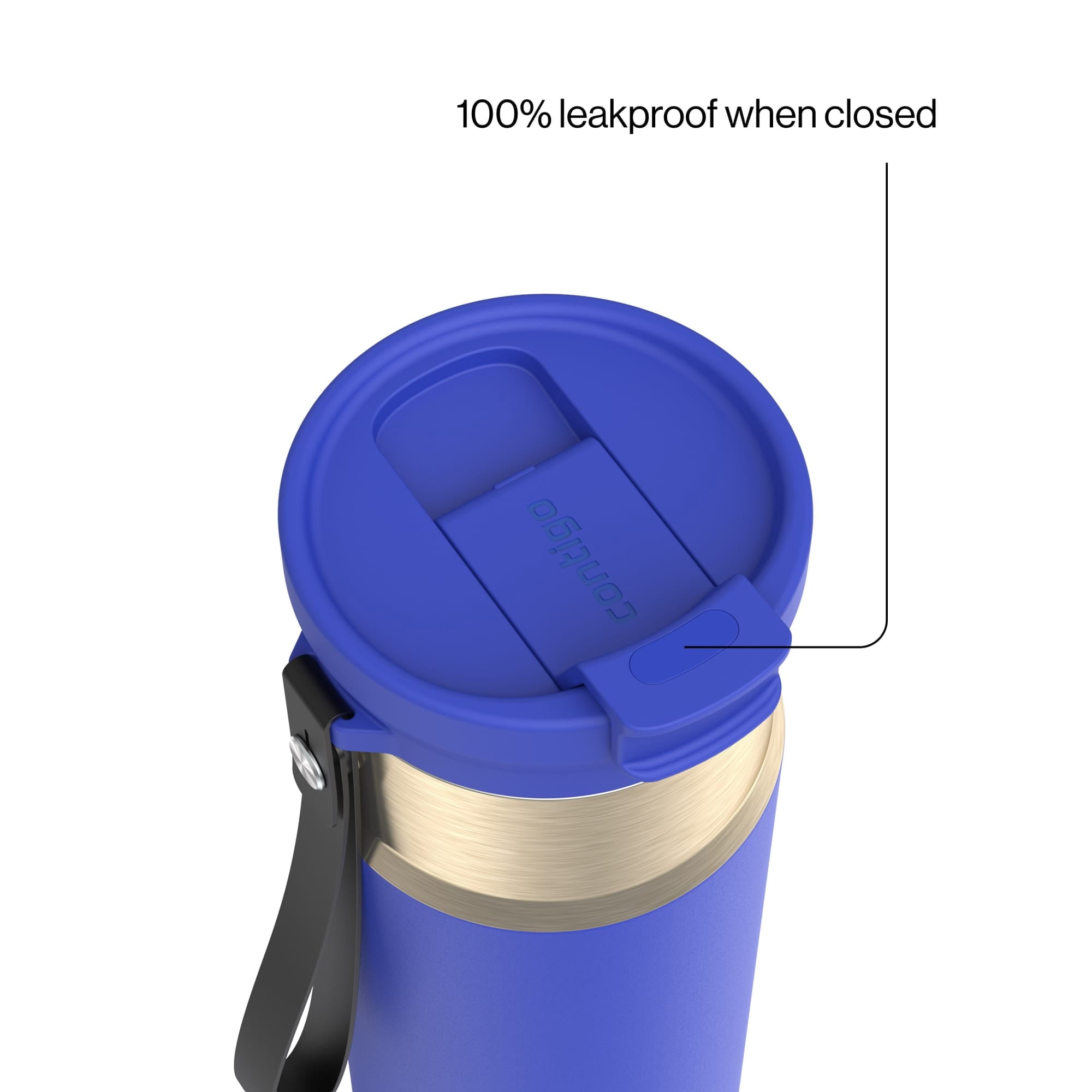 Contigo DualSip 24 oz Leakproof Insulated Water Bottle with Carrying Strap and 2-Way Lid C041V