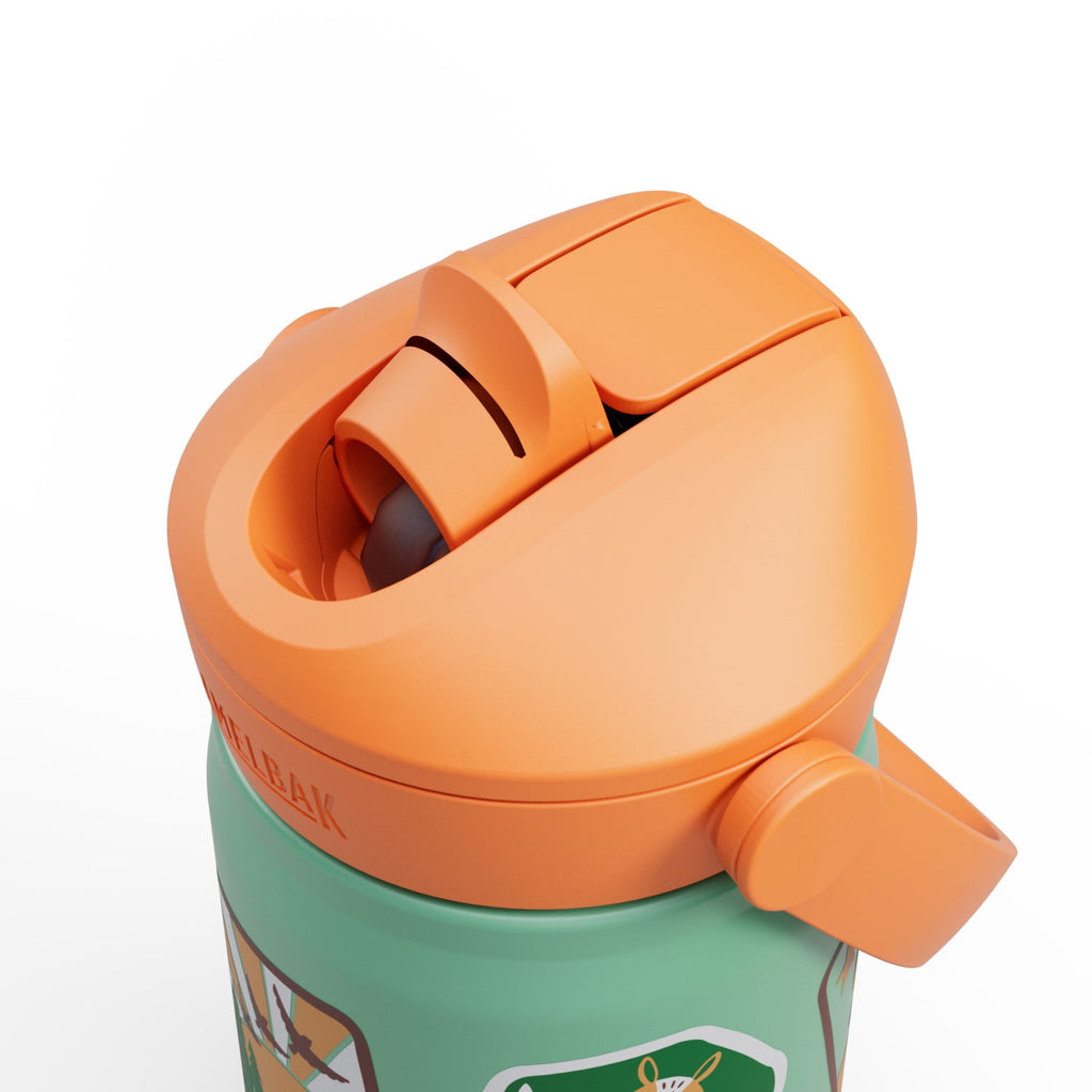 Camelbak Thrive™ Flip Straw Kids Stainless 12oz Water Bottle, Dino Jam C311A