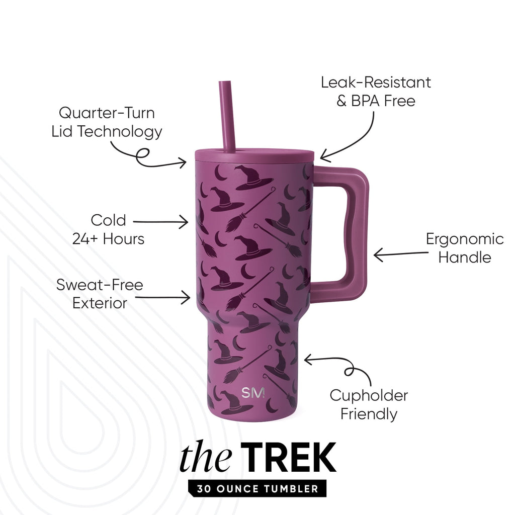 Simple Modern 30 fl oz Insulated Stainless Steel Trek Tumbler with Straw Lid | Seaglass Sage and Cream Checkmate C690C