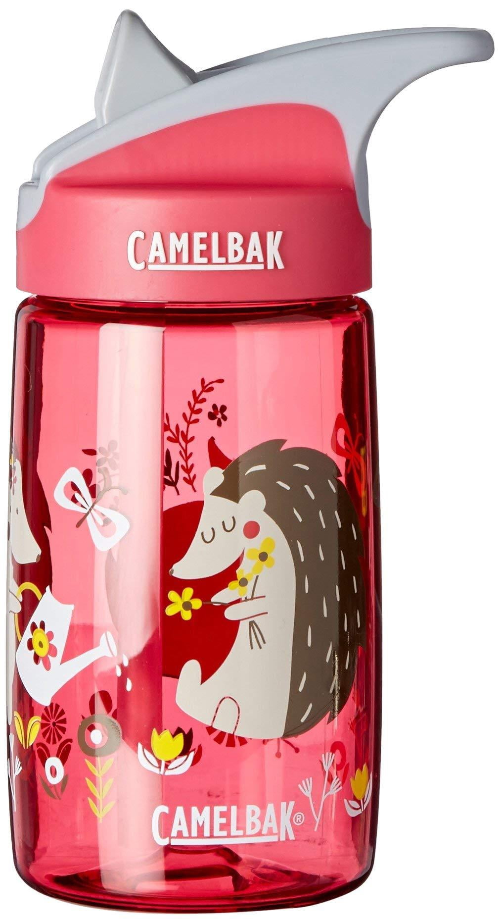 CamelBak Eddy Kids Water Bottle, Airplane Bandits.4 L C310Y
