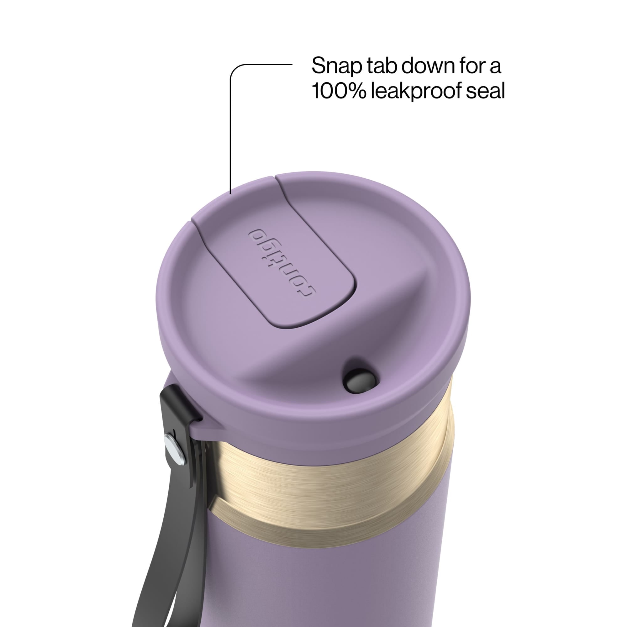 Contigo SnapSeal 16 oz Leakproof Stainless Steel Water Bottle with Carrying Strap C048V