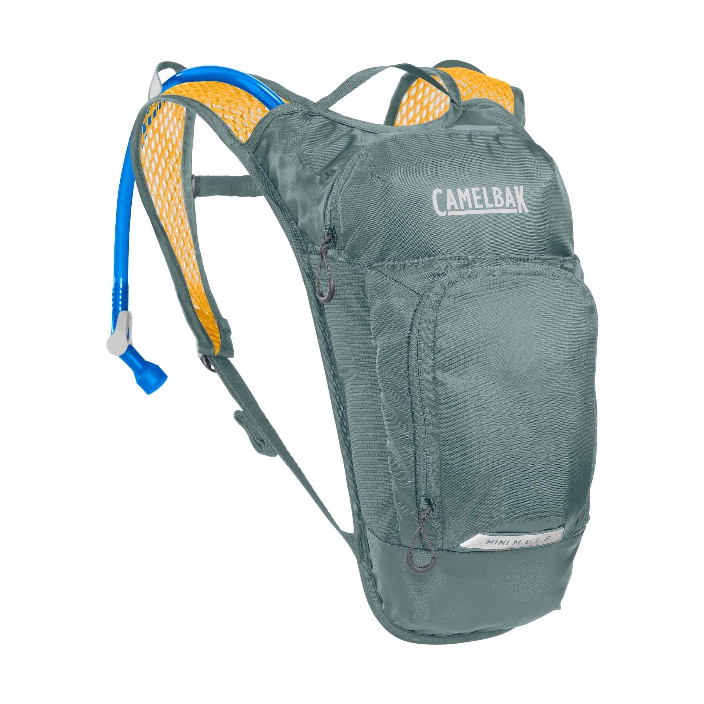 CamelBak Mini M.U.L.E.® 50 oz Hydration Pack, Sharks C250H