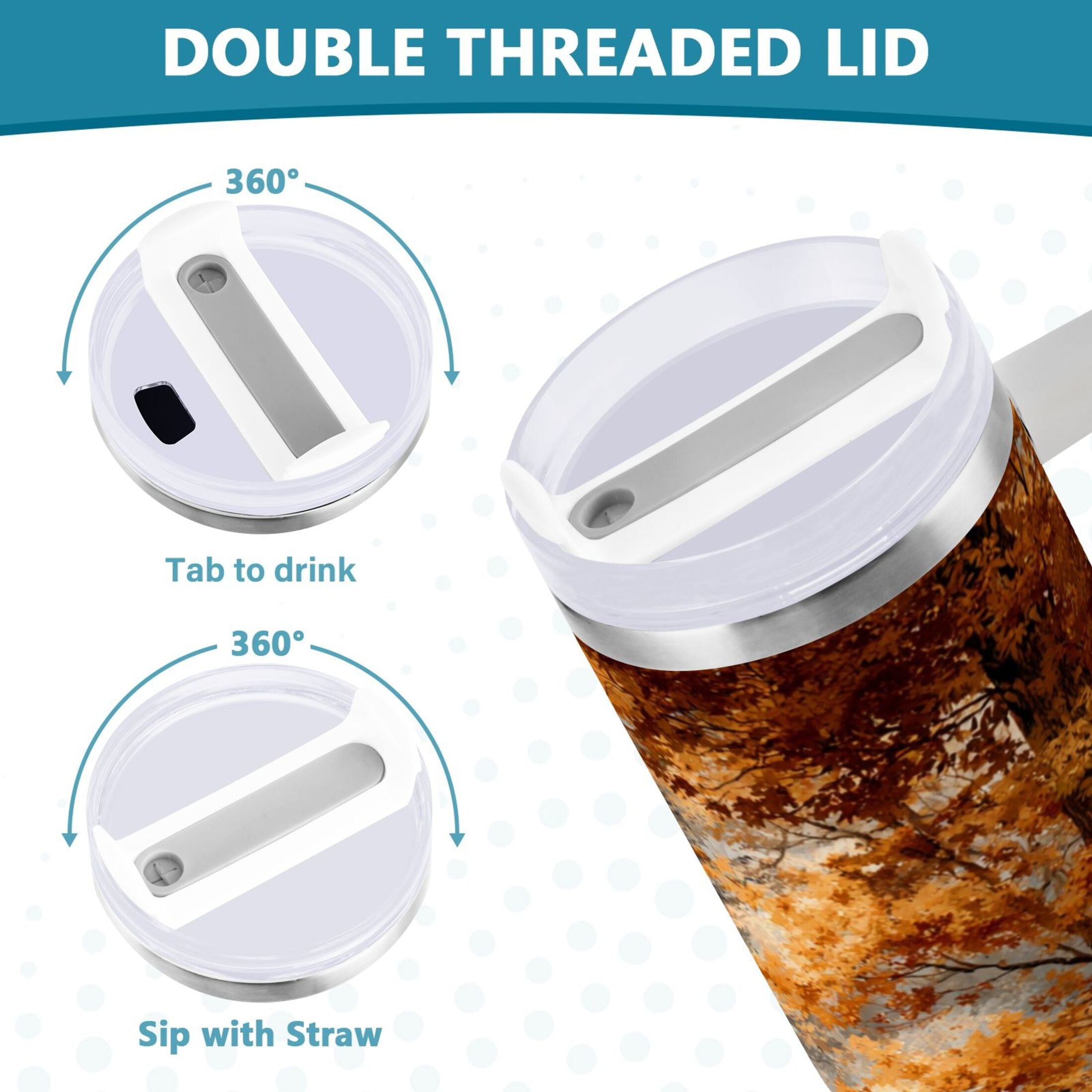 30 oz Insulated Stainless Steel Tumbler Double Wall Stainless Steel Tumbler with 2-Way Drinking Beautiful Autumn Forest C556S