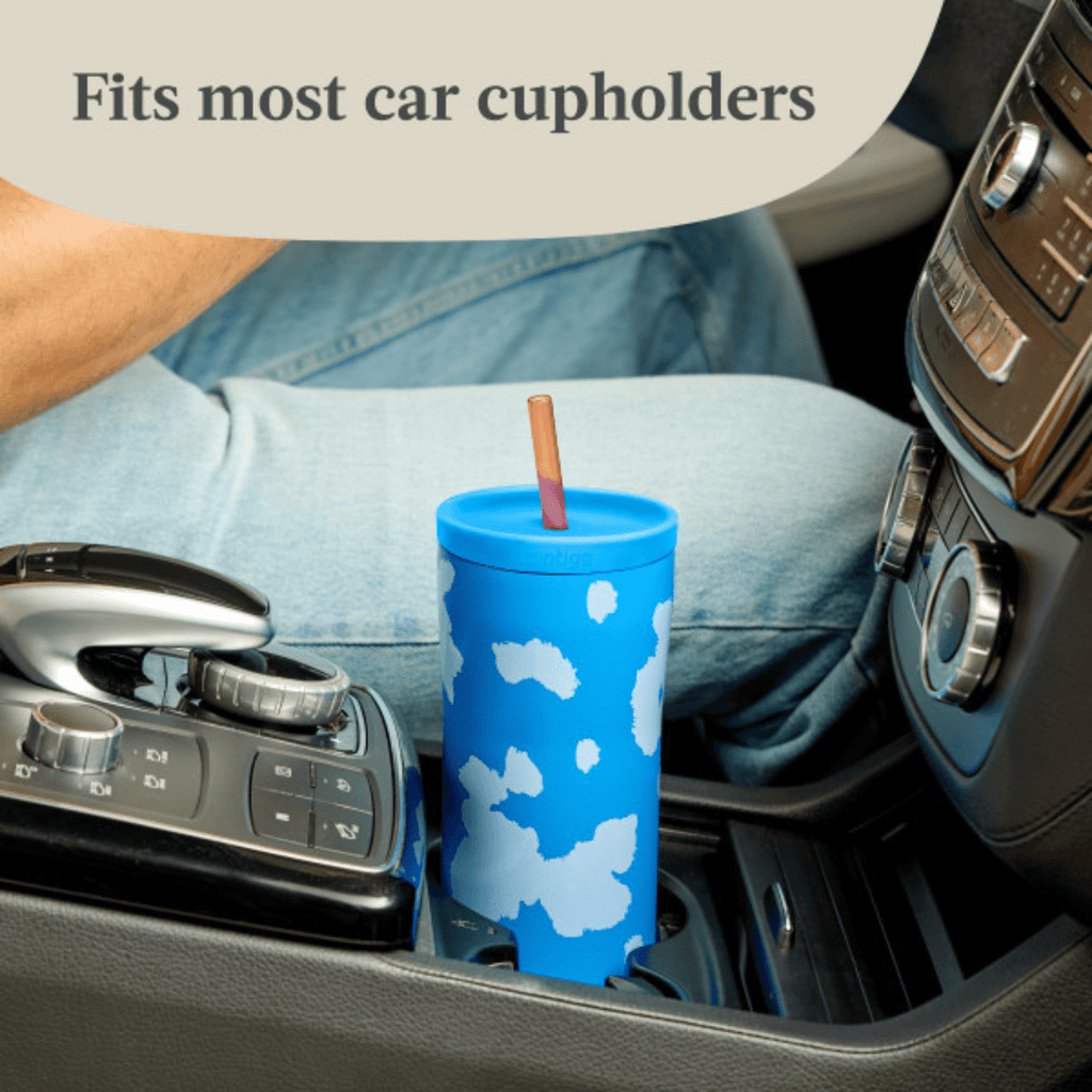 Contigo x Ally Love Streeterville 2.0 Stainless Steel Tumbler with Straw, 24 oz, Stellar Jay C112A