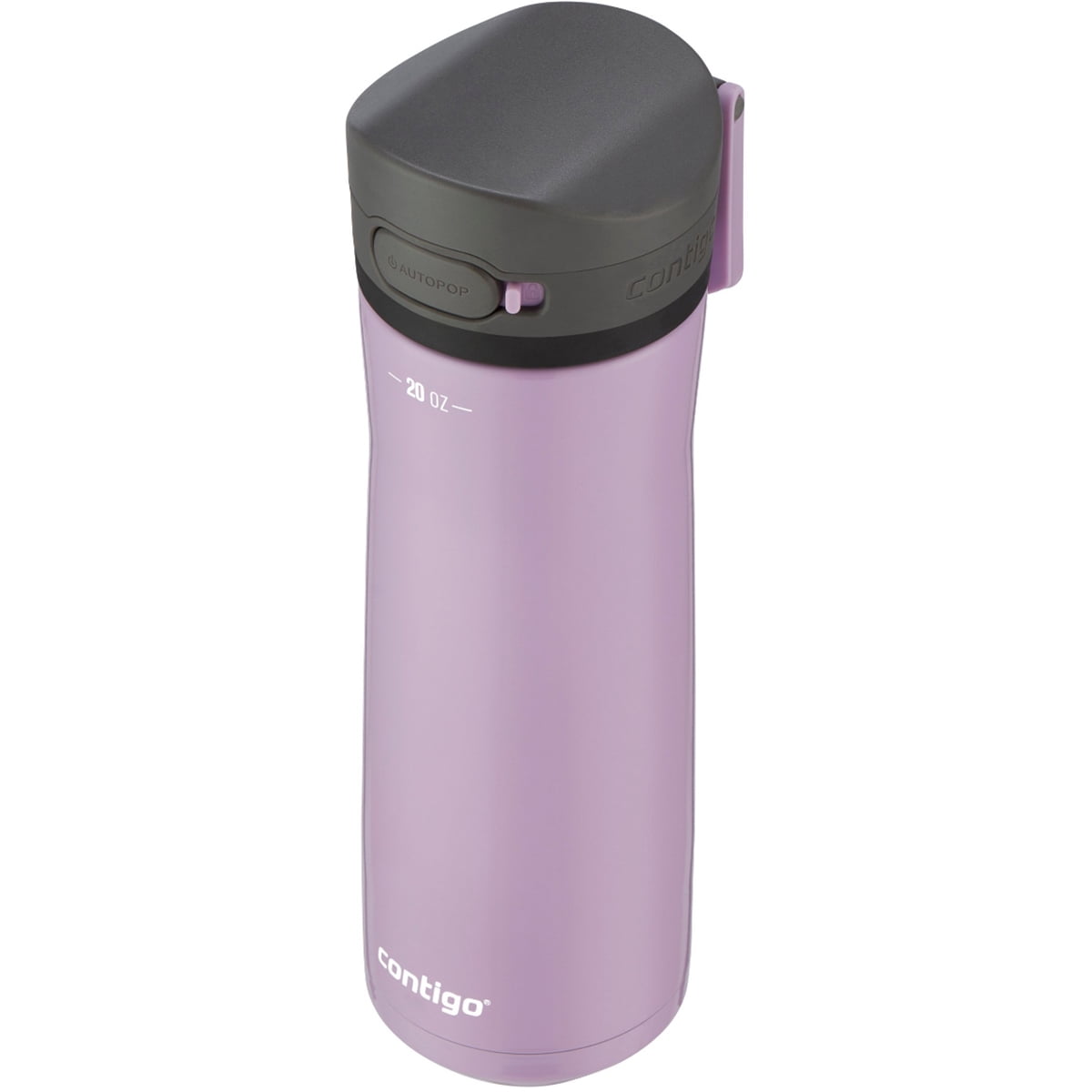 Contigo 20 oz. Jackson Chill 2.0 Water Bottle - Stainless Steel w/Licorice C059K