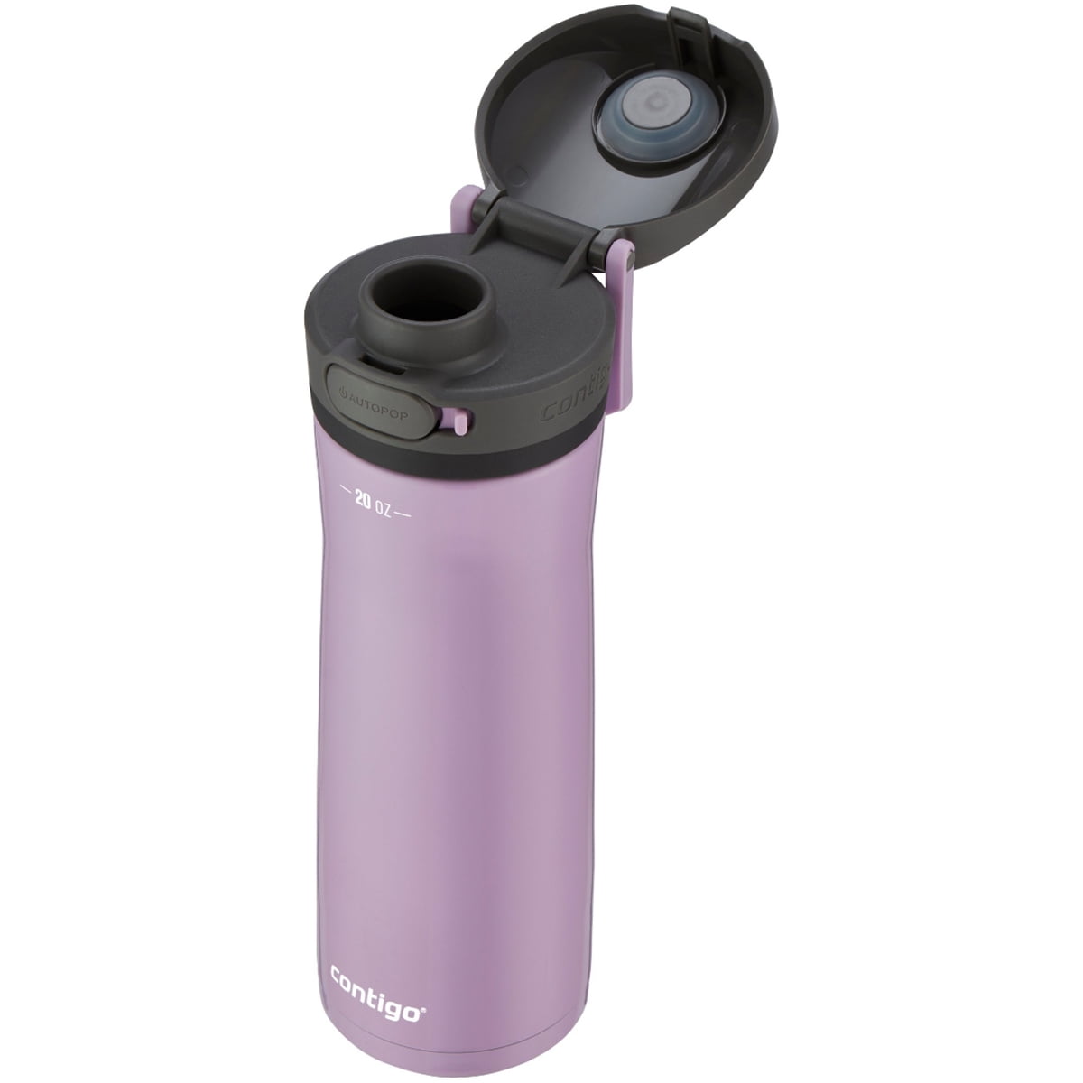 Contigo 20 oz. Jackson Chill 2.0 Water Bottle - Stainless Steel w/Licorice C059K