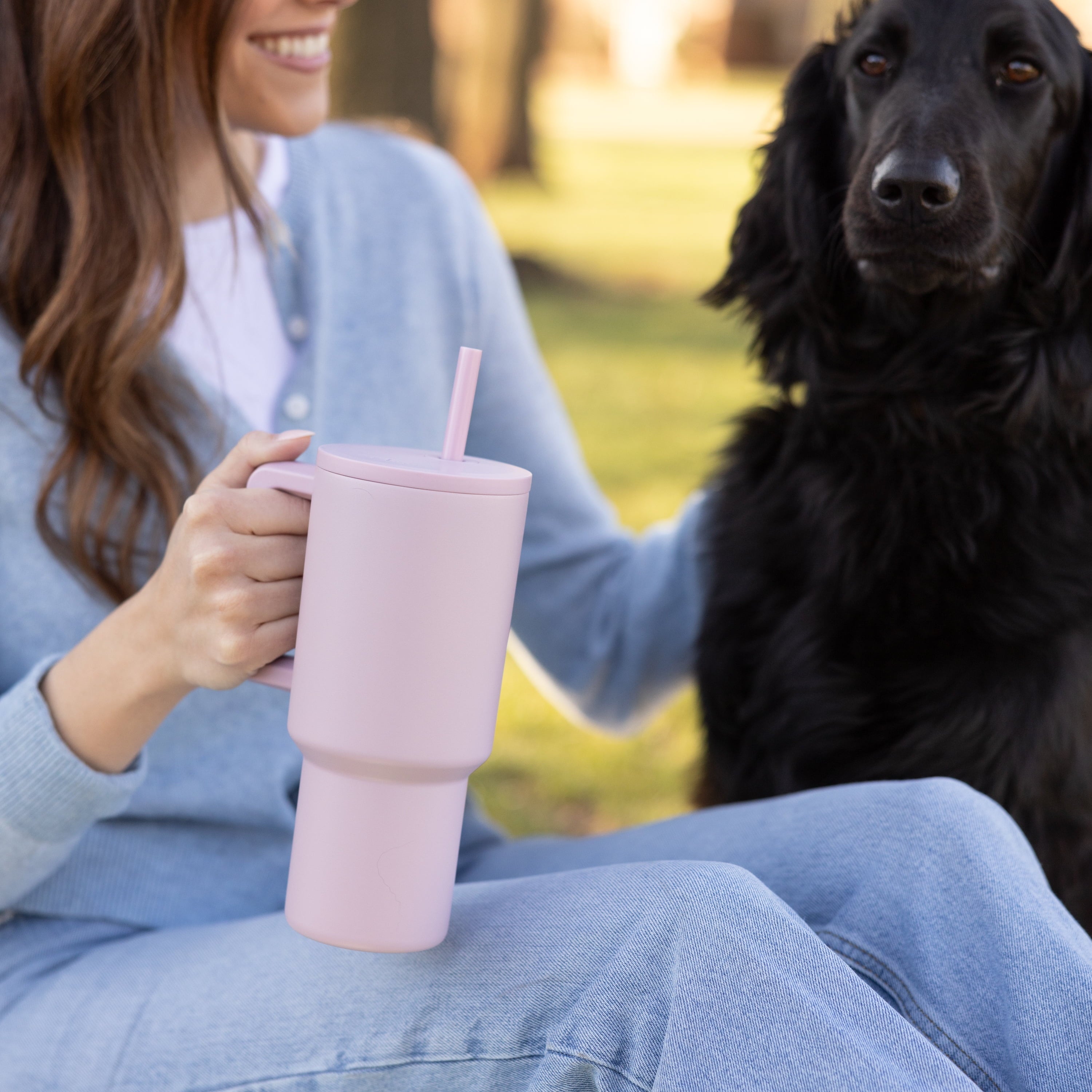 Simple Modern 30 fl oz Insulated Stainless Steel Trek Tumbler with Straw Lid | Seaglass Sage and Cream Checkmate C690C