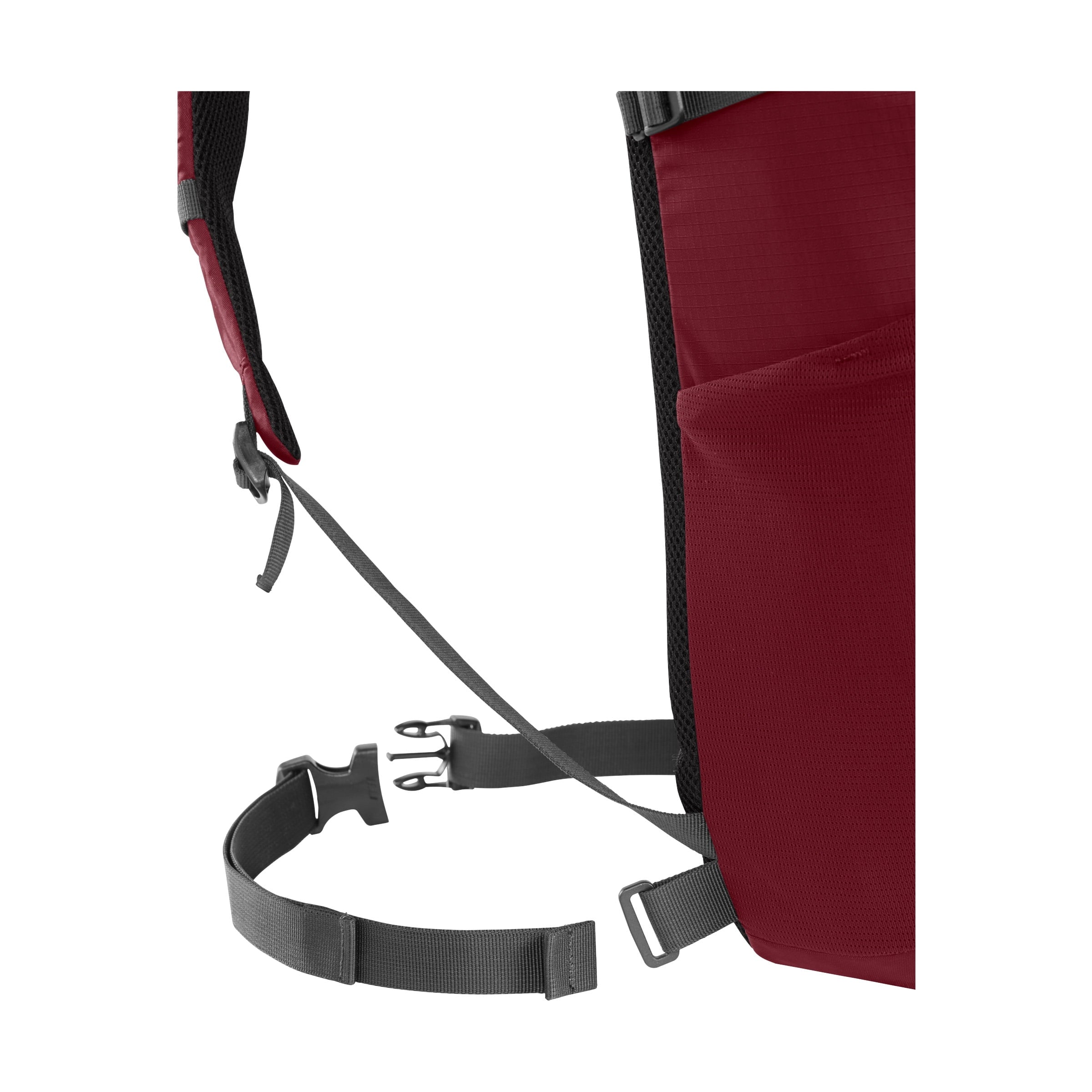 Camelbak Cloud Walker 18 85oz, Cabernet C243P