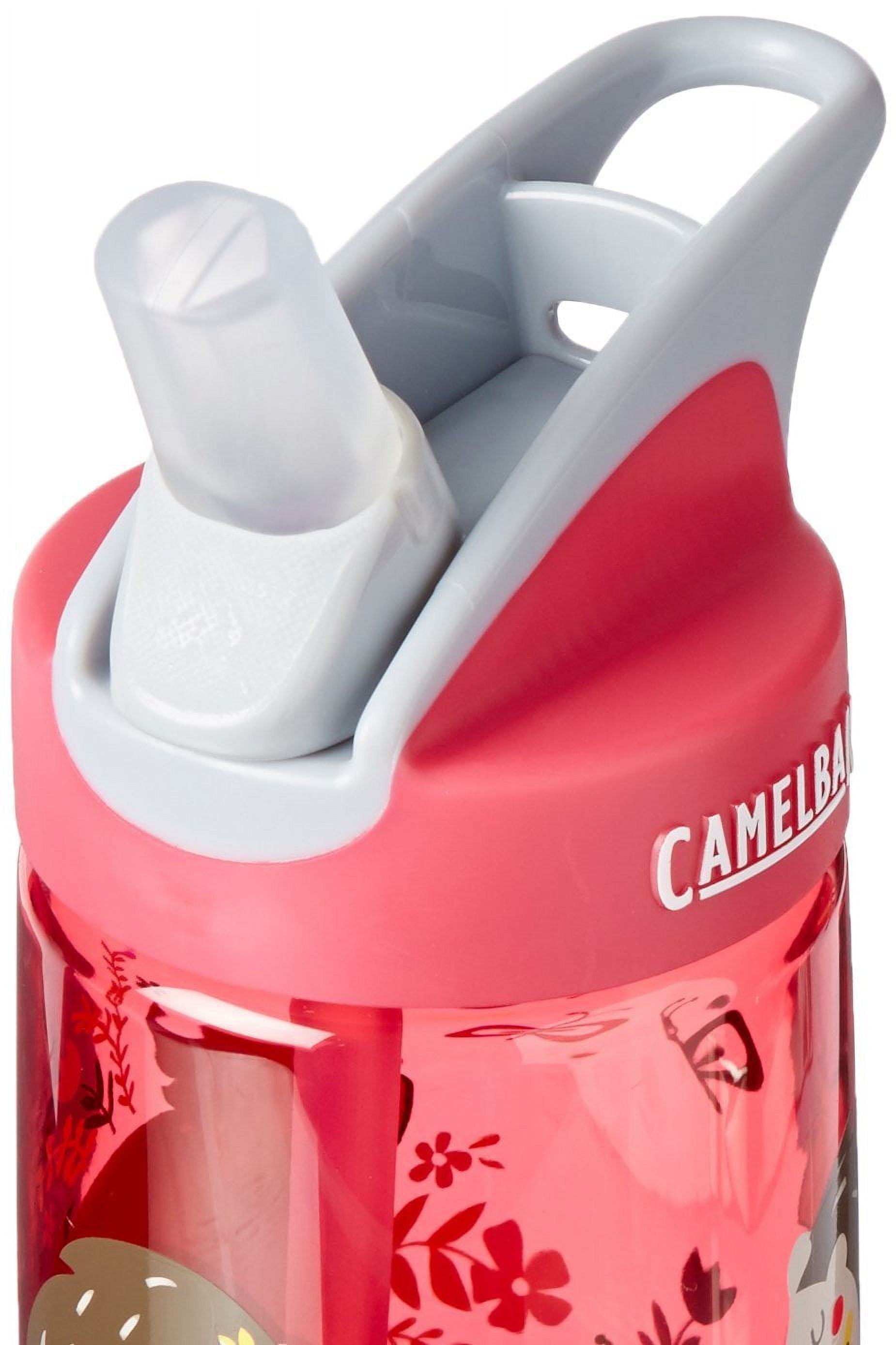 CamelBak Eddy Kids BPA Free Water Bottle Airplane Bandits Bottle Only C312Z