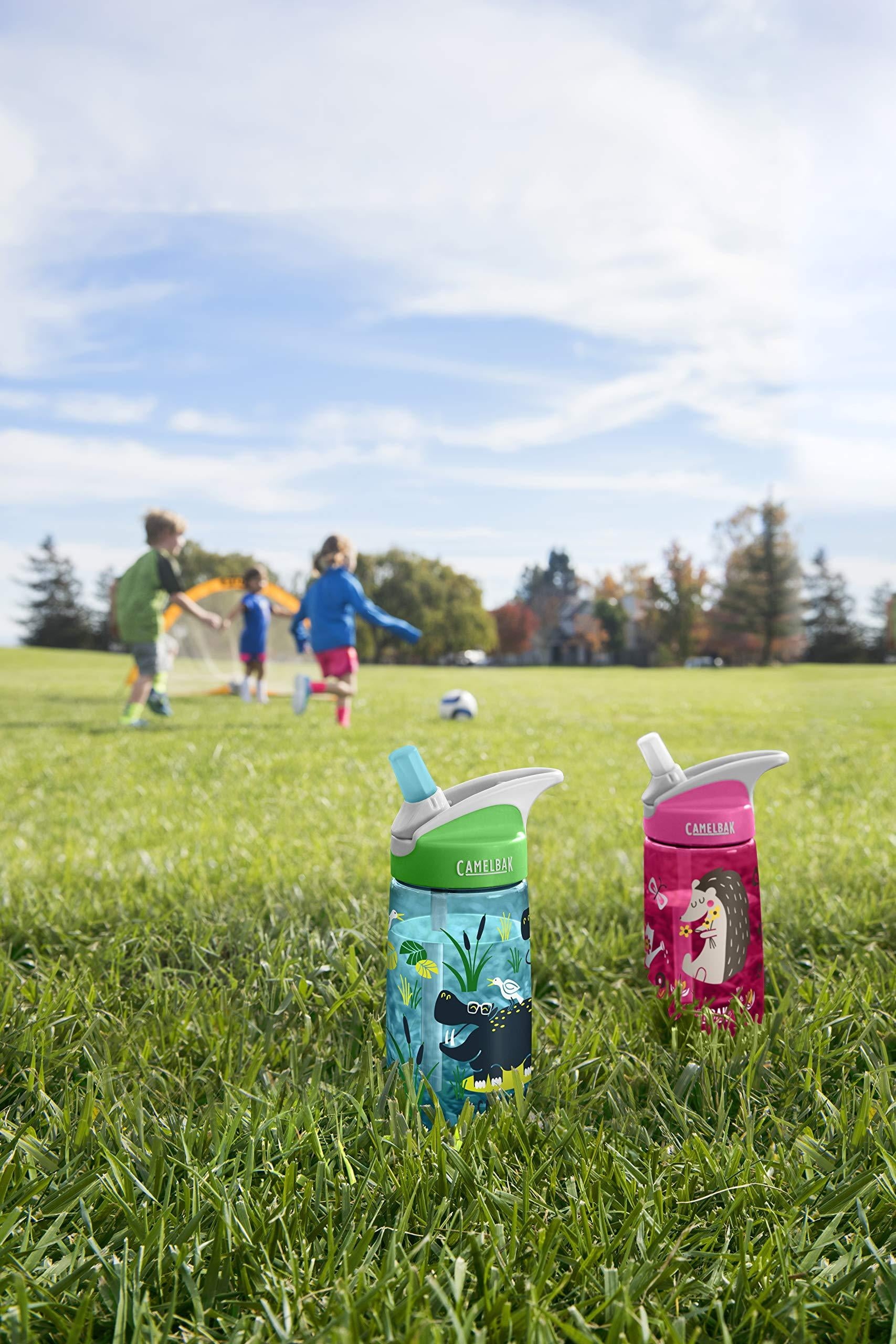 CamelBak Eddy Kids BPA Free Water Bottle Airplane Bandits Bottle Only C312Z
