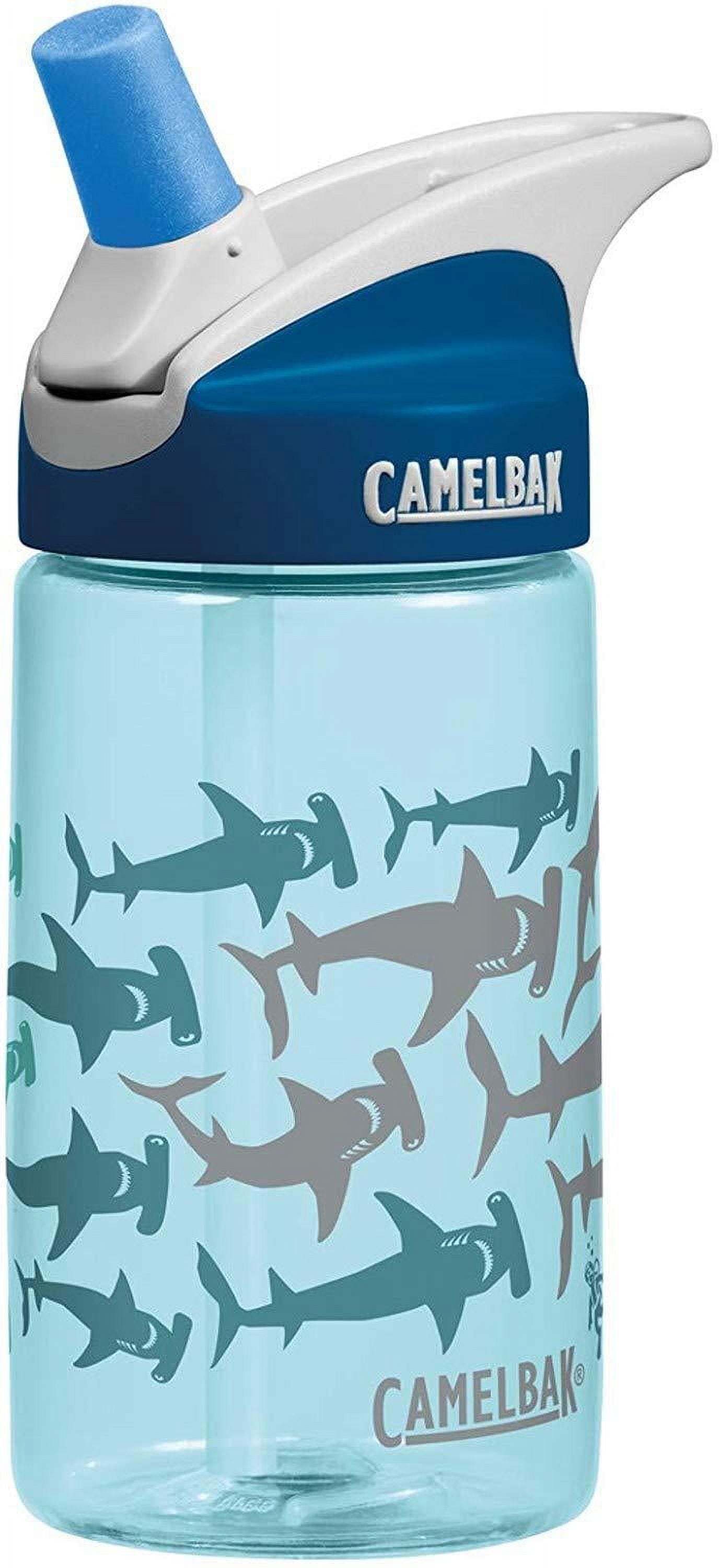 CamelBak Eddy Kids BPA Free Water Bottle Airplane Bandits Bottle Only C312Z