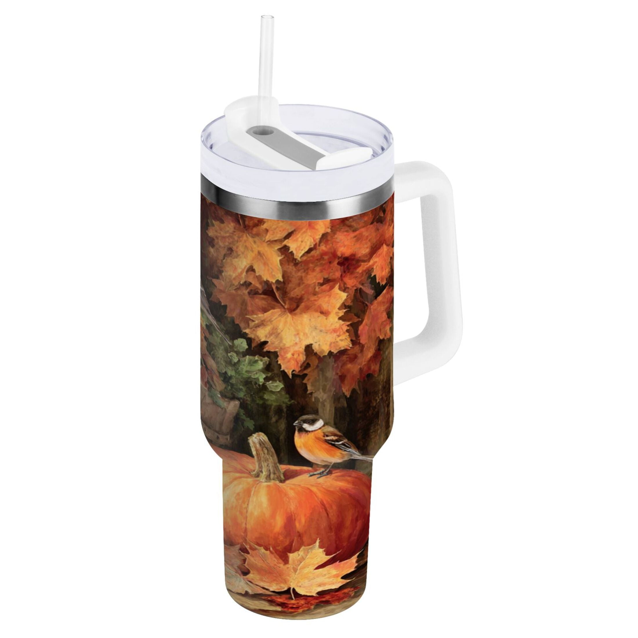 30 oz Insulated Stainless Steel Tumbler Double Wall Stainless Steel Tumbler with 2-Way Drinking Beautiful Fall Scene C610W