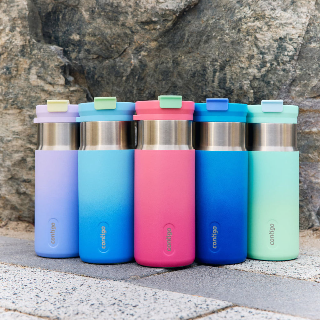 Contigo DualSip 16 oz Compact Leakproof Insulated Water Bottle with 2-Way Lid C049H