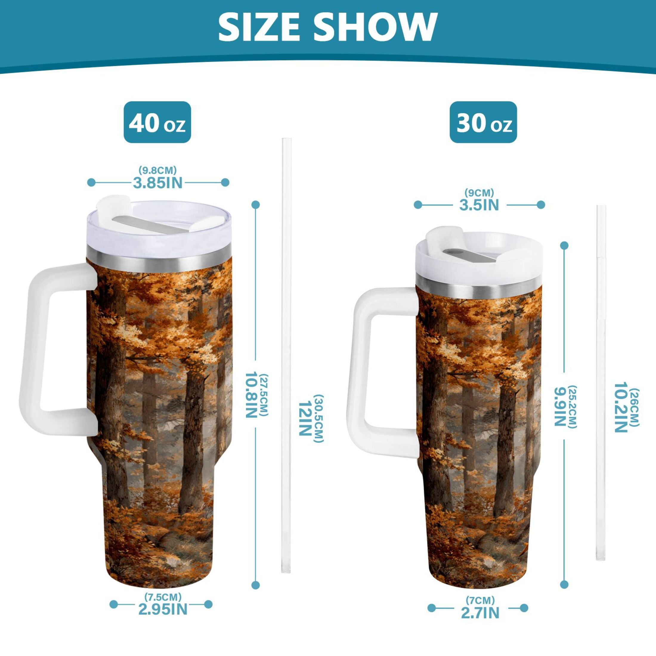 30 oz Insulated Stainless Steel Tumbler Double Wall Stainless Steel Tumbler with 2-Way Drinking Beautiful Autumn Forest C556S