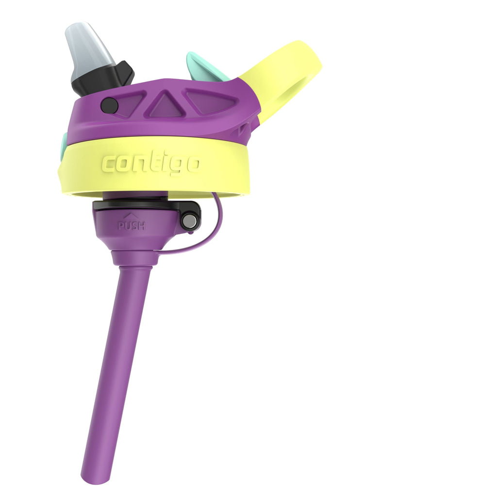 Contigo Kids Water Bottle with Redesigned AUTOSPOUT Straw, 14 oz, Grape Forest Haven C003Z