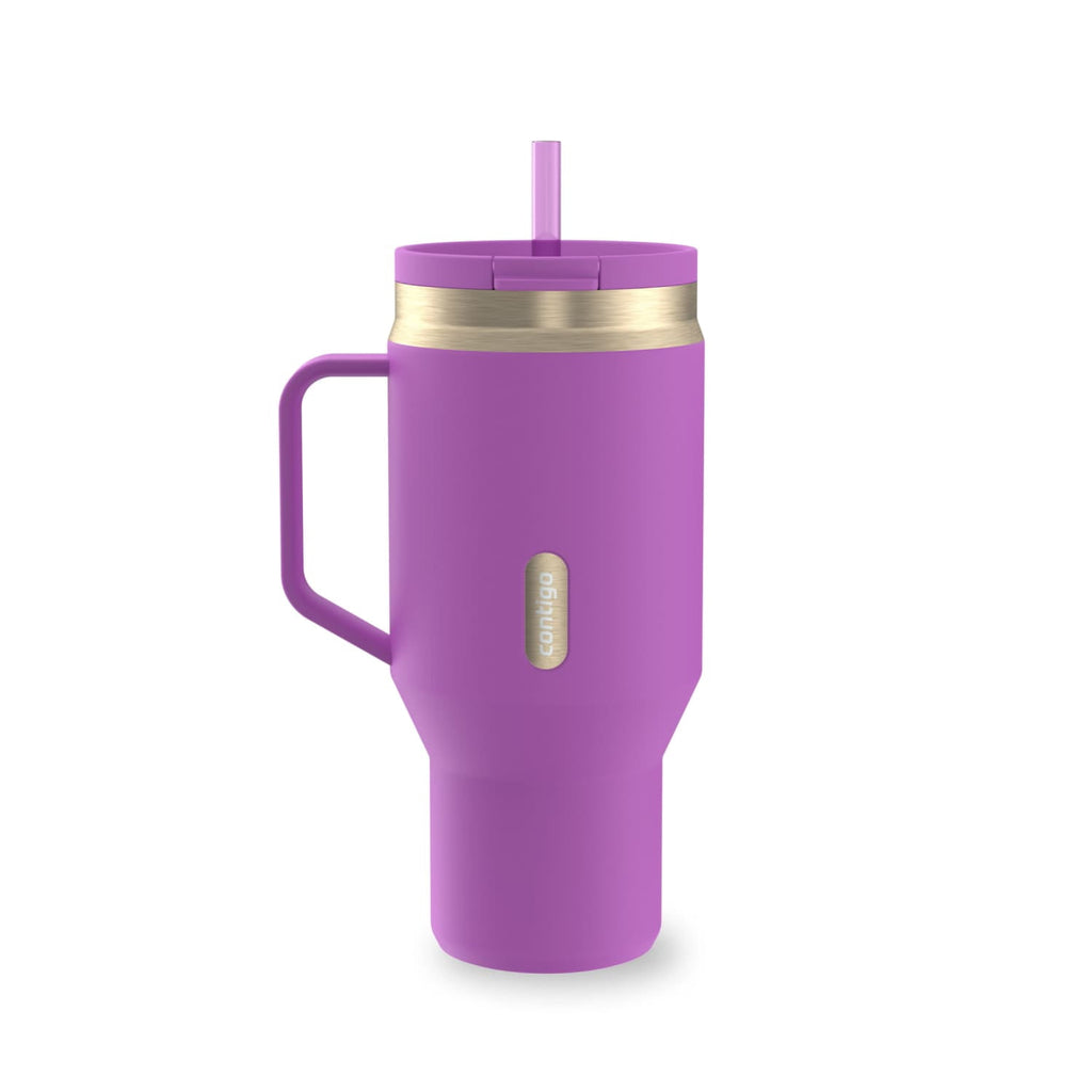 Contigo SnapSeal Leakproof Stainless Steel Reusable Water Bottle Tumbler with Side Handle, Black/Bronze, 30 oz C015G
