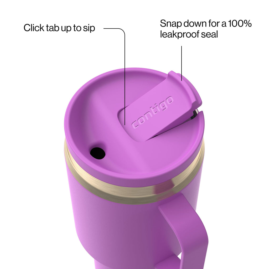 Contigo SnapSeal Leakproof Stainless Steel Reusable Water Bottle Tumbler with Side Handle, Black/Bronze, 30 oz C015G