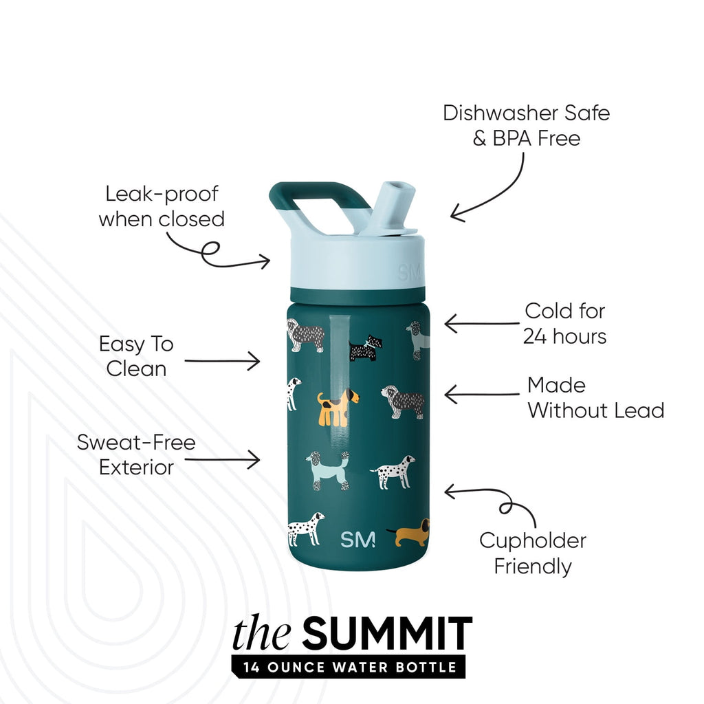Simple Modern 14oz Summit Water Bottle with Straw Lid | Confetti C429C