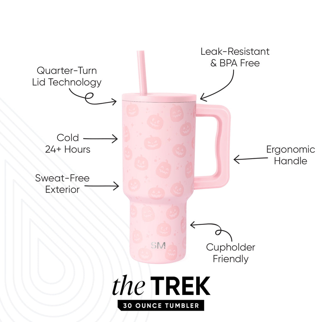 Simple Modern 30 fl oz Insulated Stainless Steel Trek Tumbler with Straw Lid | Seaglass Sage and Cream Checkmate C690C