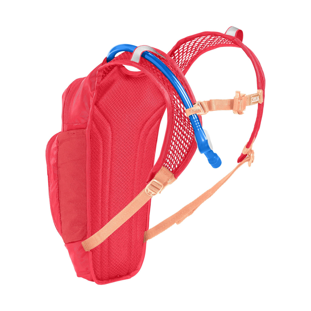 Camelbak Kid's Mini Mule.® 50oz Hydration Pack, Pink/Flowers C344R