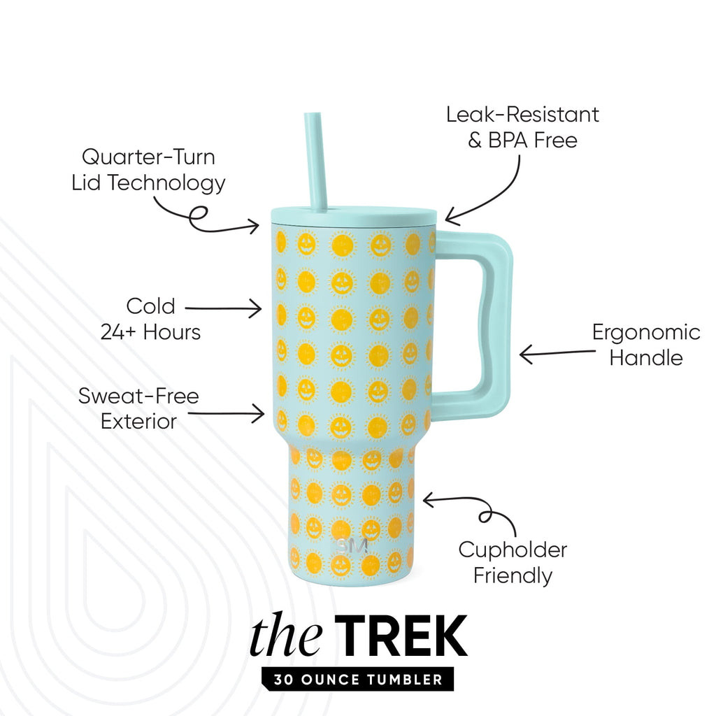 Simple Modern 30 fl oz Insulated Stainless Steel Trek Tumbler with Straw Lid | Seaglass Sage and Cream Checkmate C690C