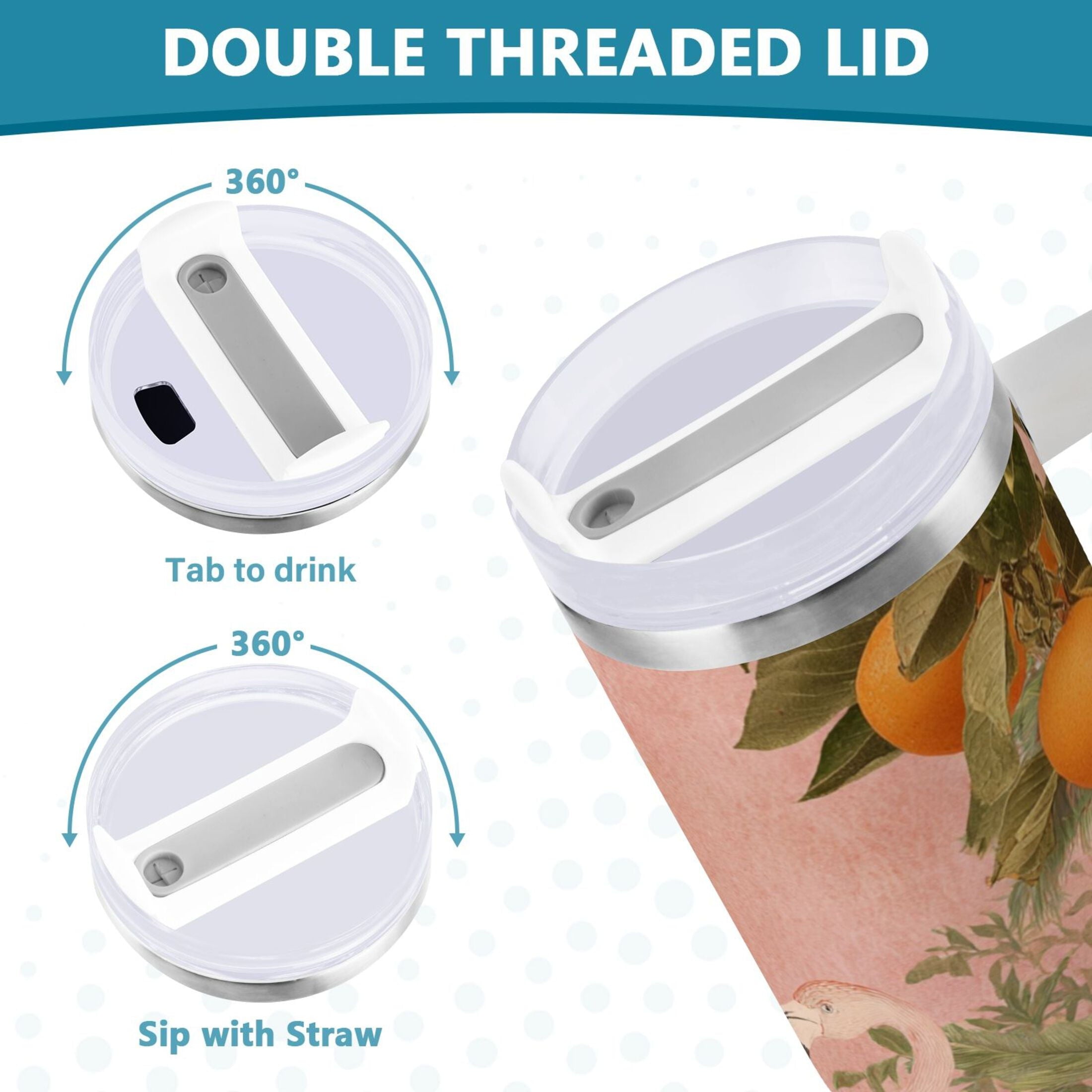 40 oz Insulated Stainless Steel Tumbler Double Wall Stainless Steel Tumbler with 2-Way Drinking Flamingos in Tropical Garden C666V