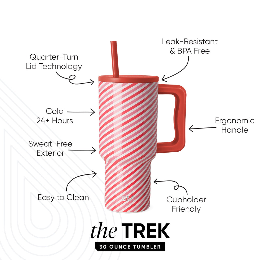 Simple Modern 30 fl oz Insulated Stainless Steel Trek Tumbler with Straw Lid | Seaglass Sage and Cream Checkmate C690C