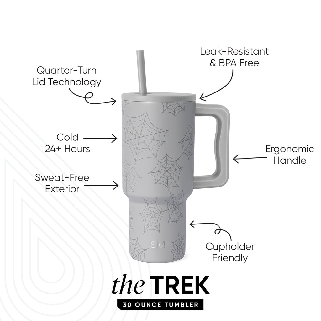 Simple Modern 30 fl oz Insulated Stainless Steel Trek Tumbler with Straw Lid | Seaglass Sage and Cream Checkmate C690C